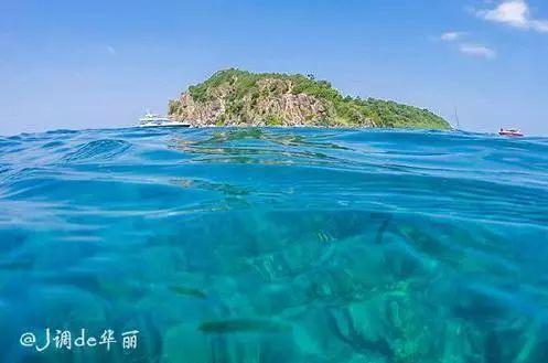 无人机低空反制系统：守护领空的